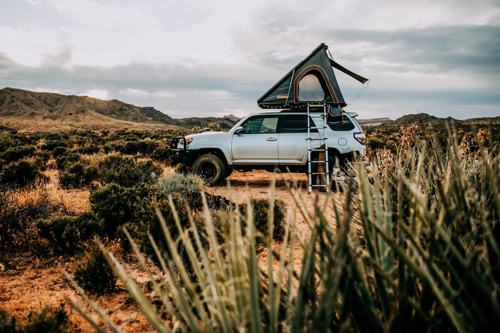 Linex Adventurerig4 Oneupweb Jpg